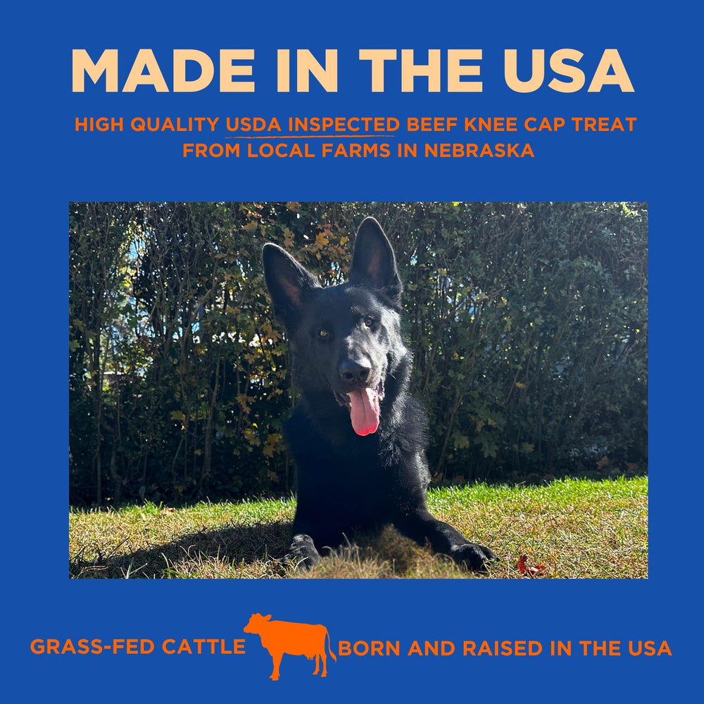 PAWW CHEW grass-fed beef knee caps image shows natural, nutrient-dense chew