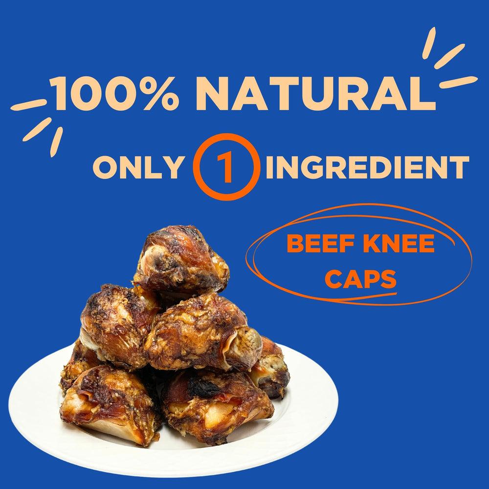 PAWW CHEW knee caps closeup meat texture highlights protein-rich chew