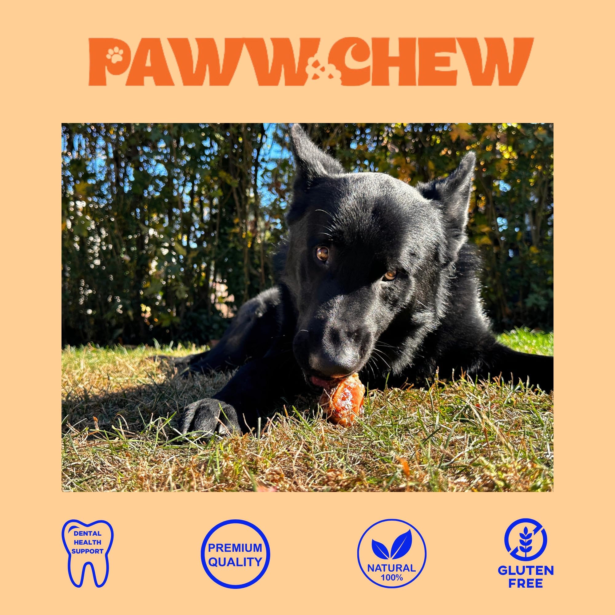 PAWW CHEW knee caps dog-chewing action demonstrates durability for strong jaws