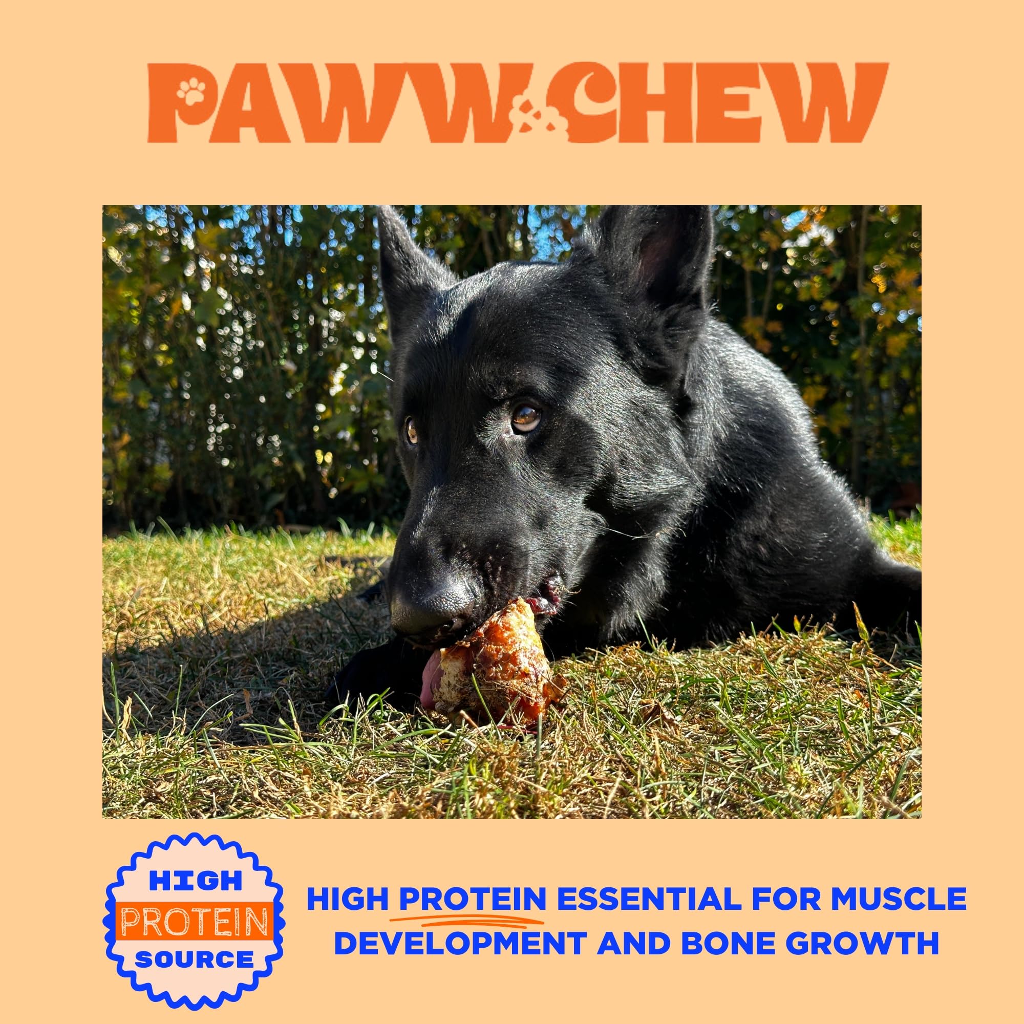 PAWW CHEW knee caps USA-made label signals quality and safety