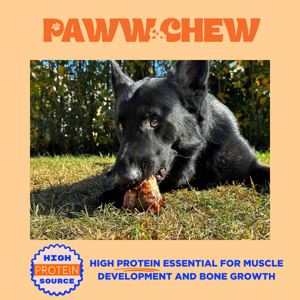 PAWW CHEW knee caps USA-made label signals quality and safety