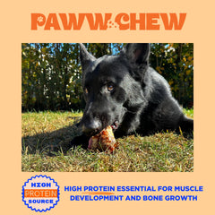 PAWW CHEW knee caps USA-made label signals quality and safety
