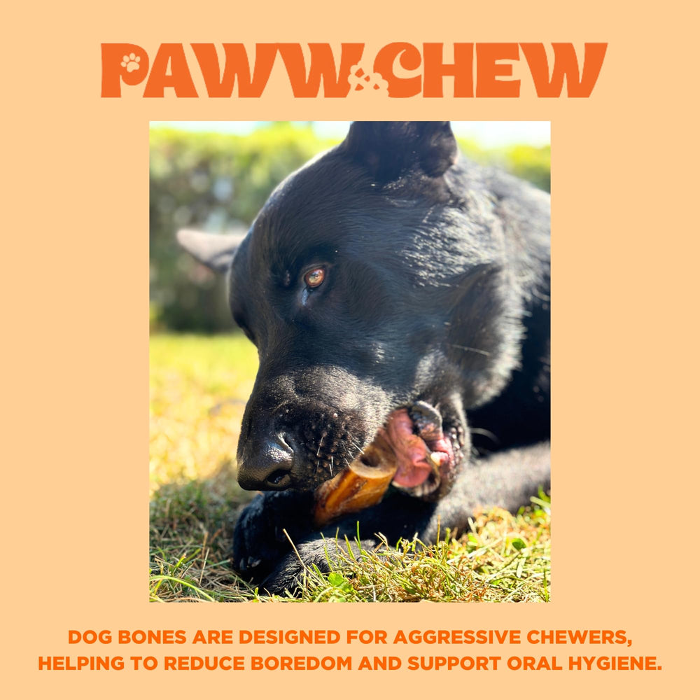 PAWW CHEW USA-inspected facility sign reinforces safety and quality standards