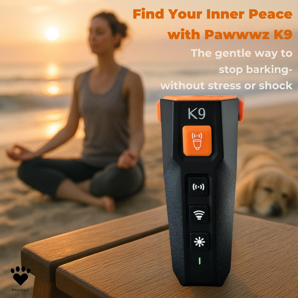Pawwwz K9 bark deterrent compact portable design fits in a pocket