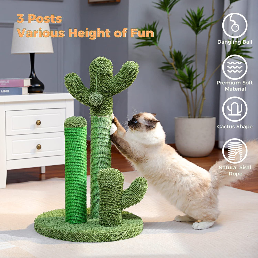 PAWZ Road cactus scratcher assembled ready for immediate use.