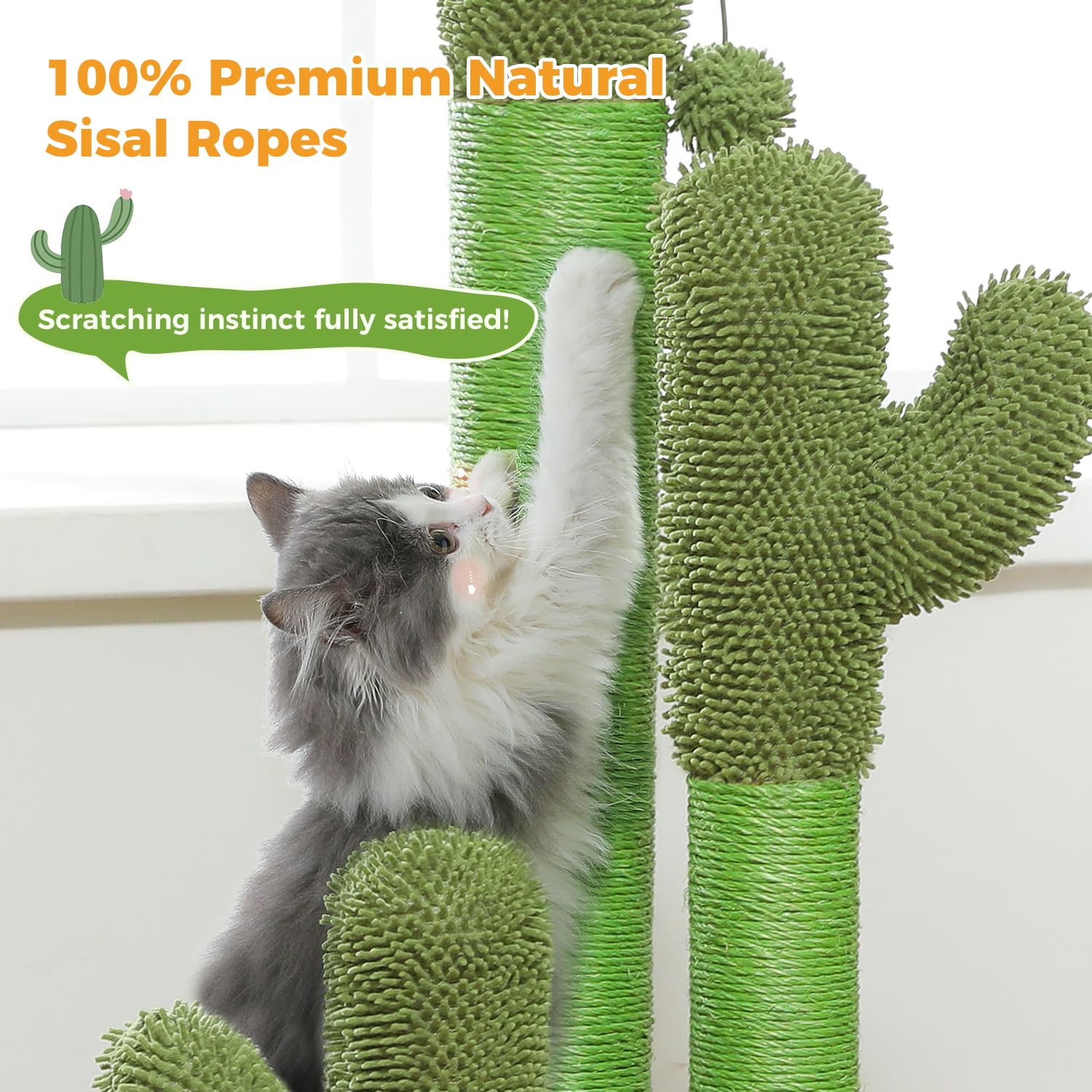 PAWZ Road cactus-scratcher-desert-design showcases cactus-inspired decor