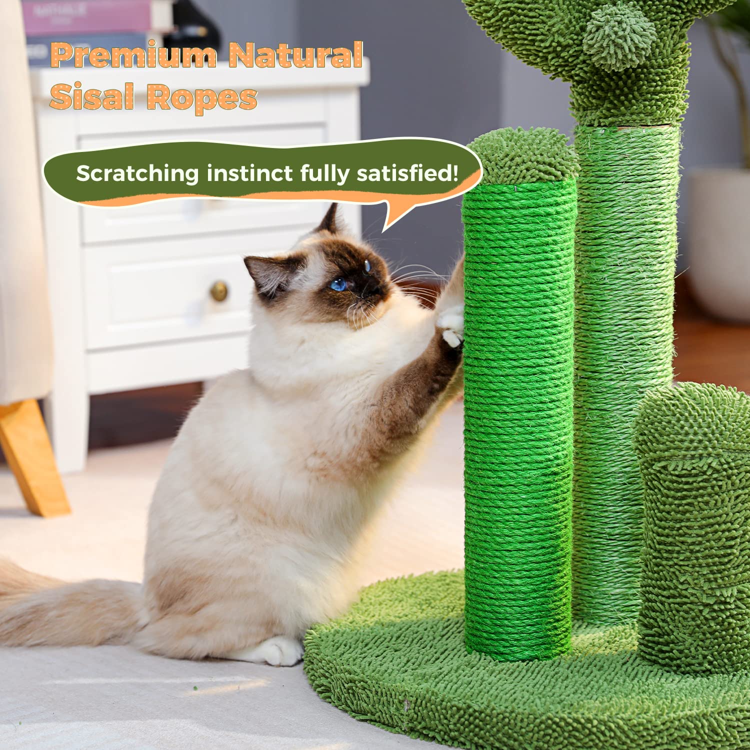PAWZ Road cactus scratcher hanging toy enhances interactive play and chase.