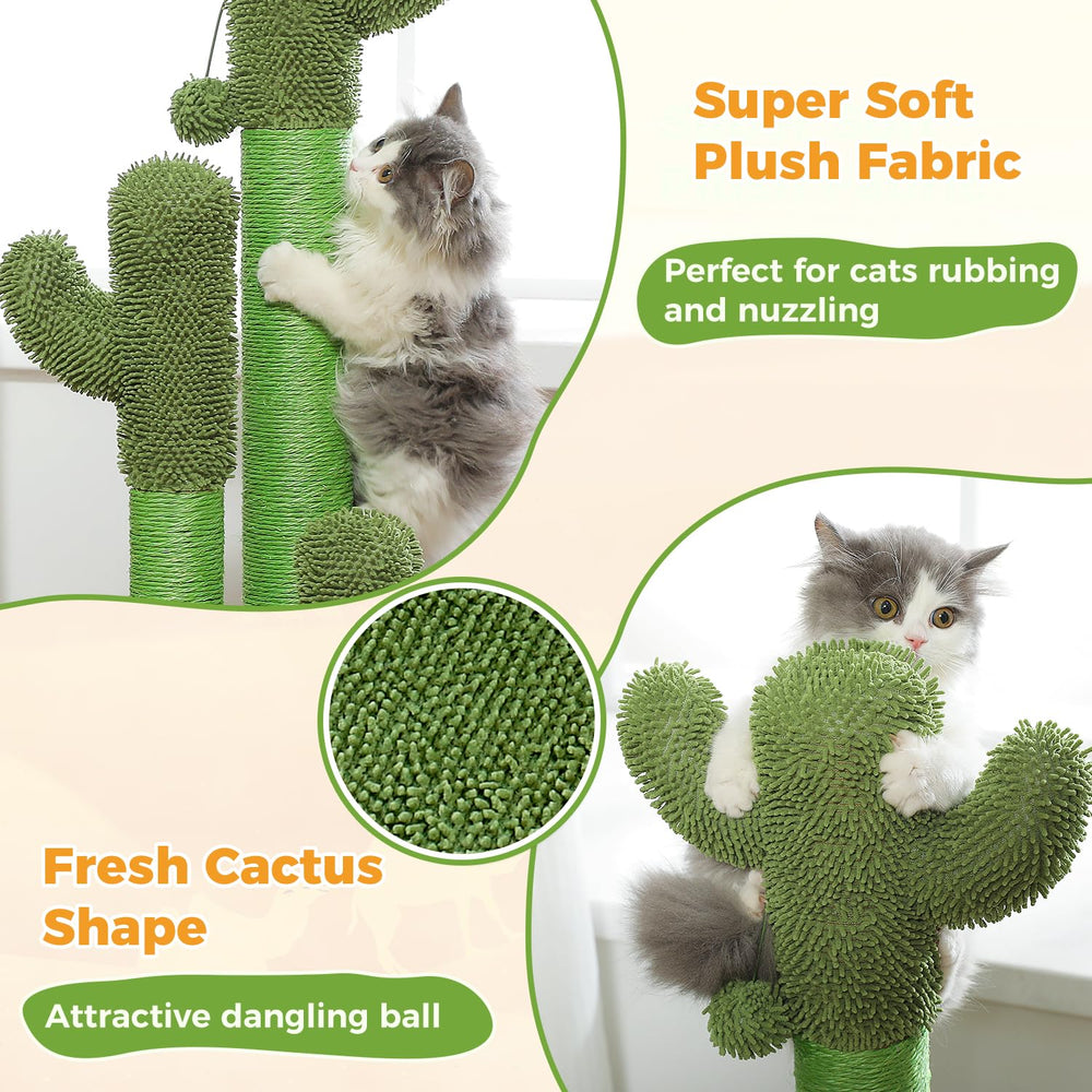 PAWZ Road cactus-scratcher-soft-carpet-base highlights paw-friendly surfaces