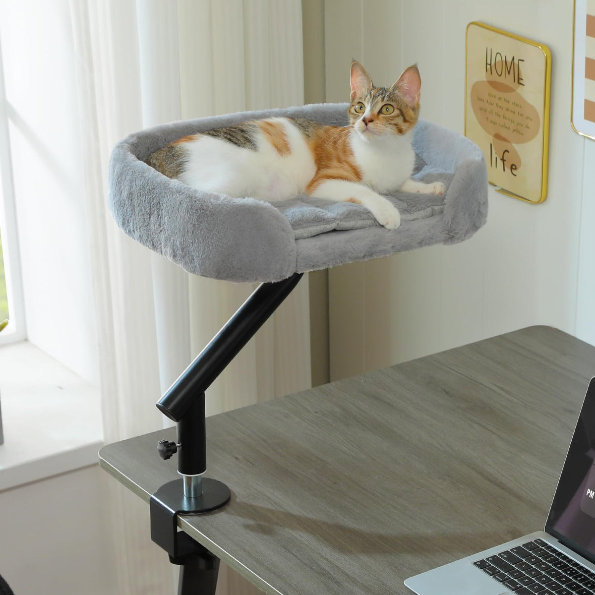 PAWZ Road cat desk bed mount-clip enables secure desk attachment for easy lounging.