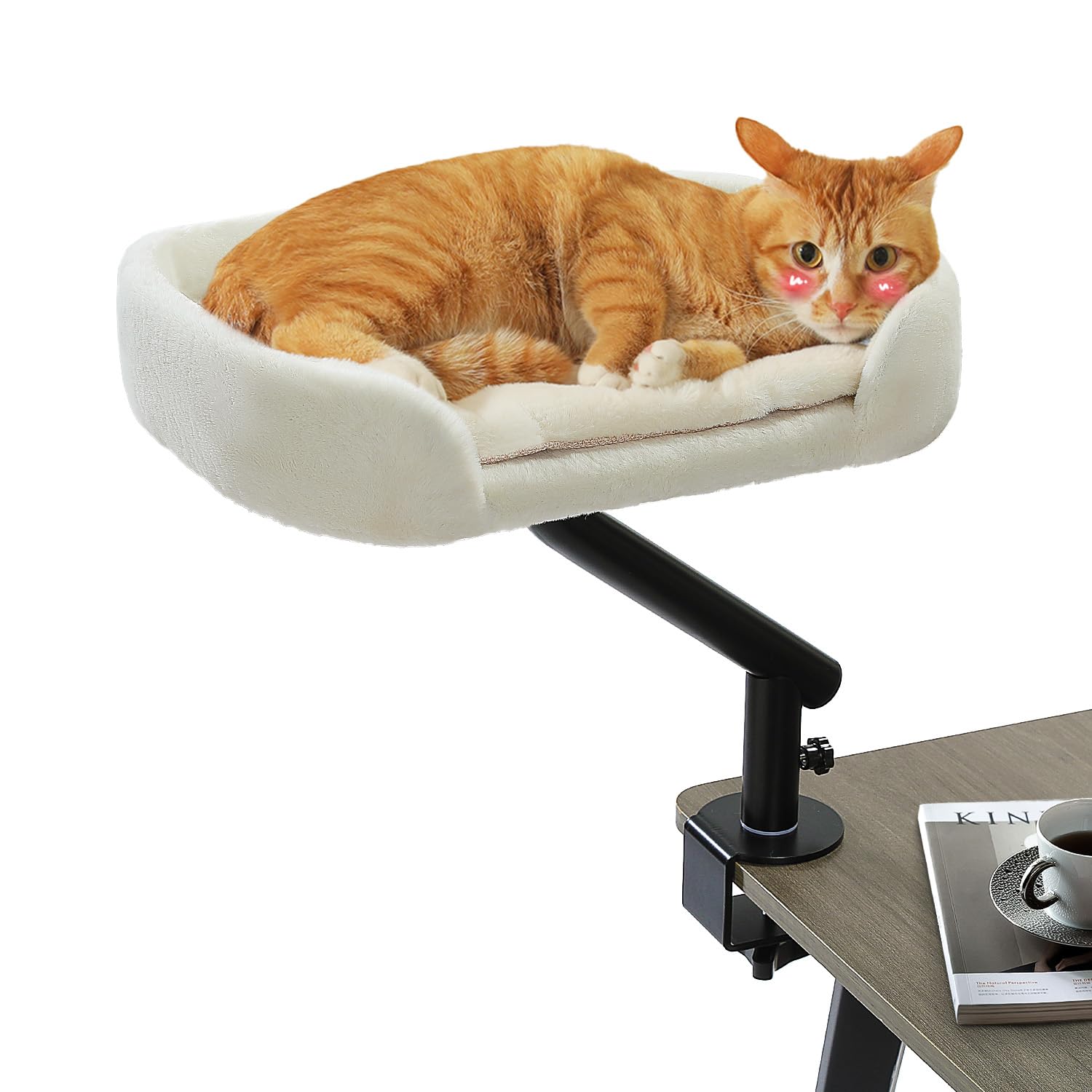 PAWZ Road cat desk bed setup shows a compact, space-saving perch for indoor cats.