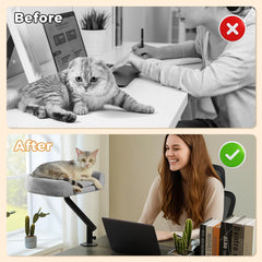 PAWZ Road cat desk bed soft-surface fabric provides cozy resting spots.