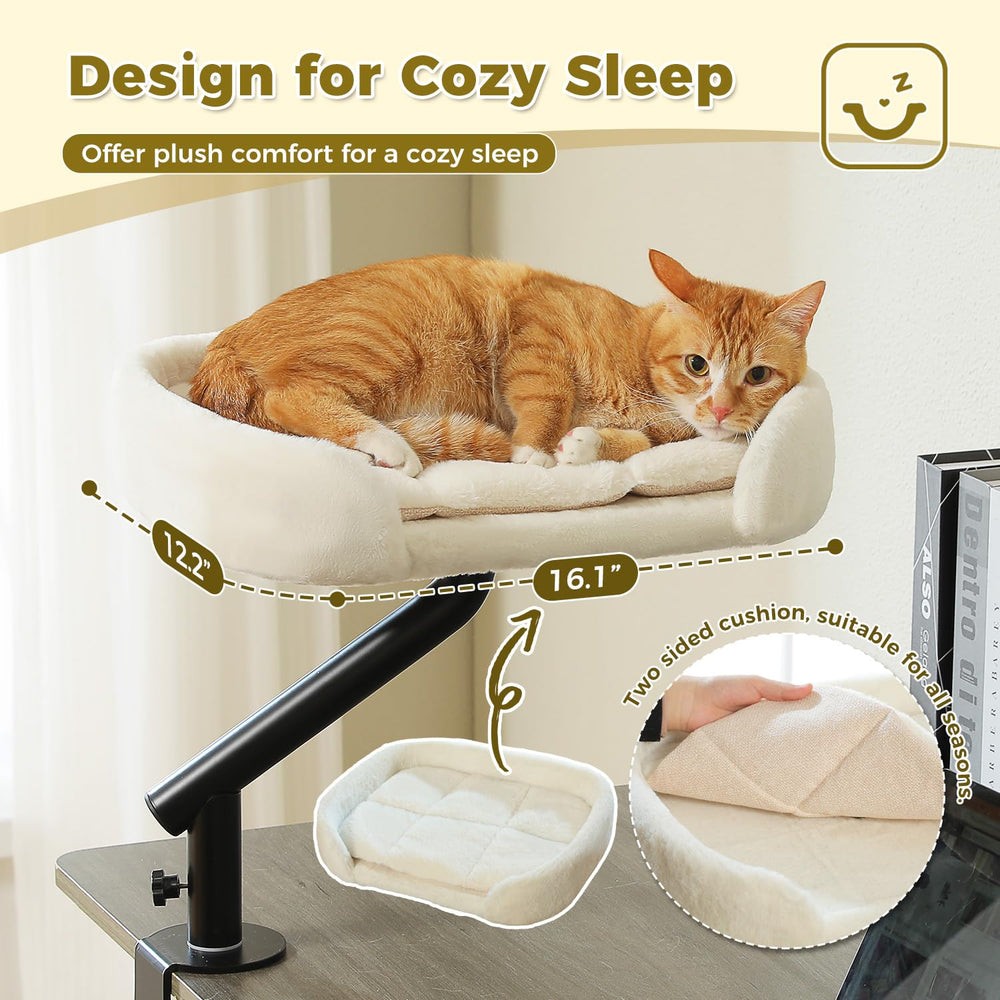 PAWZ Road cat desk bed supports up to 50 pounds for larger indoor cats.