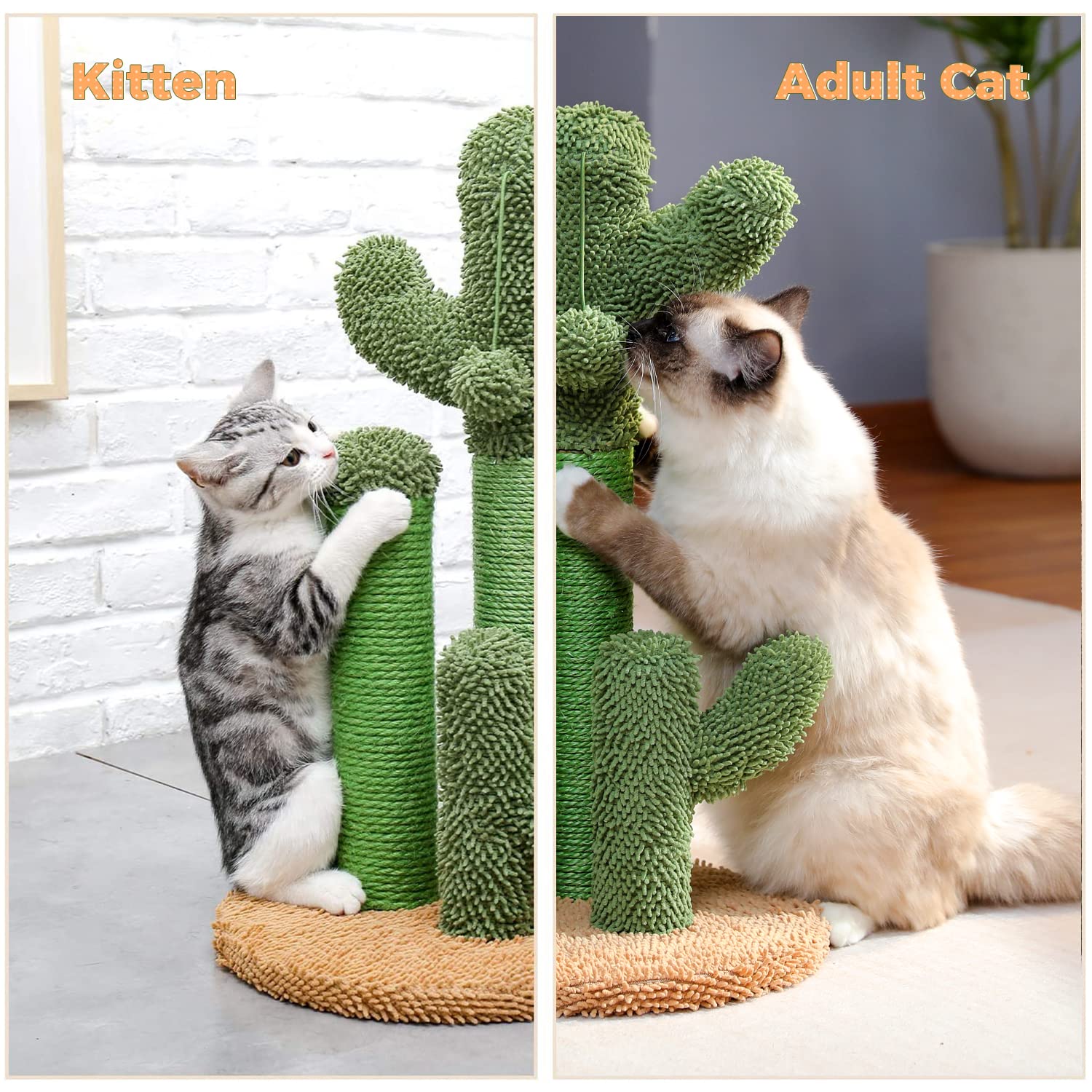 PAWZ Road cactus scratcher includes simple step-by-step assembly for quick setup.