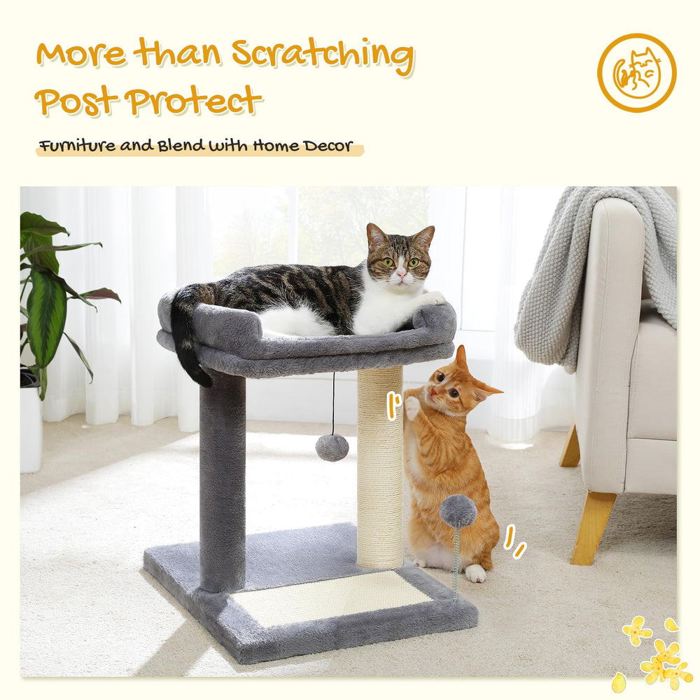 PAWZ Road cat scratching post bed in-use demonstrates compact space-saving design