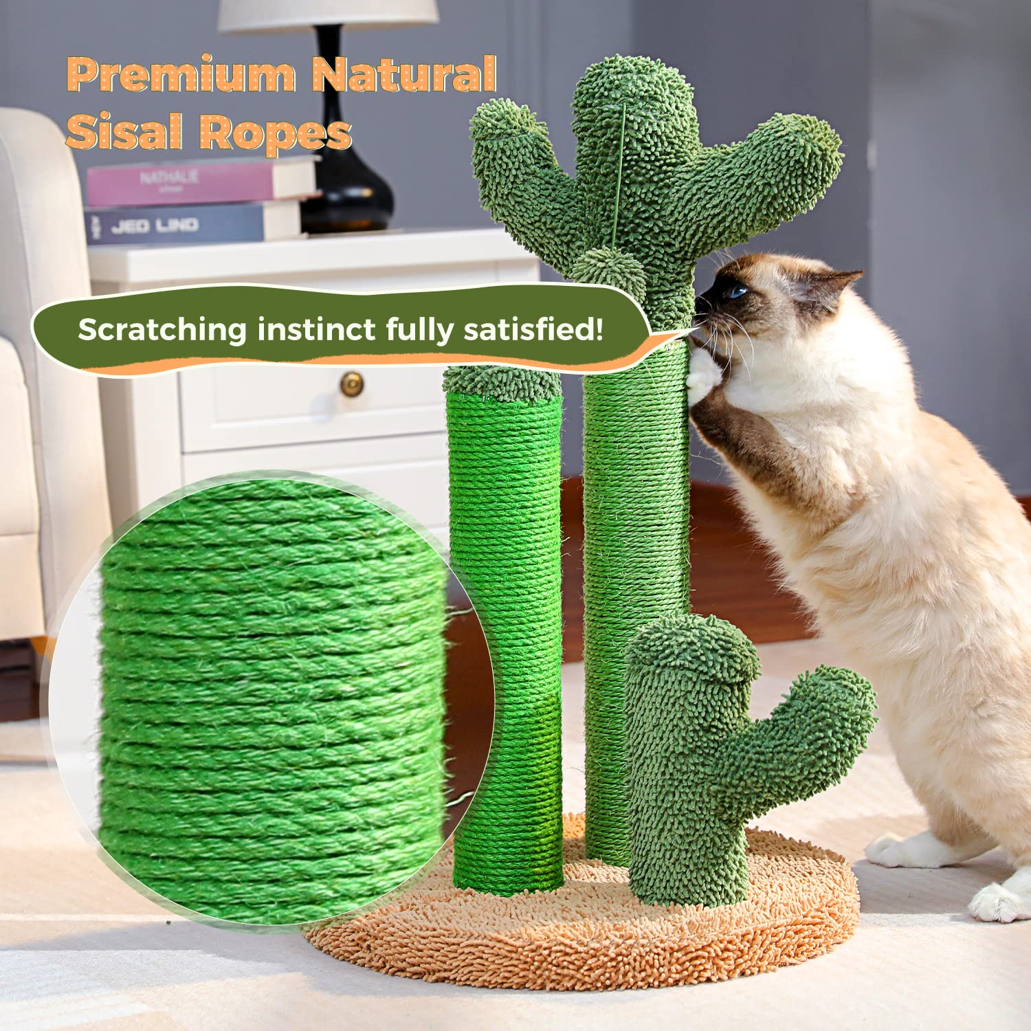PAWZ Road cat scratching post cactus adult-cat-use supports larger cats and longer play sessions.