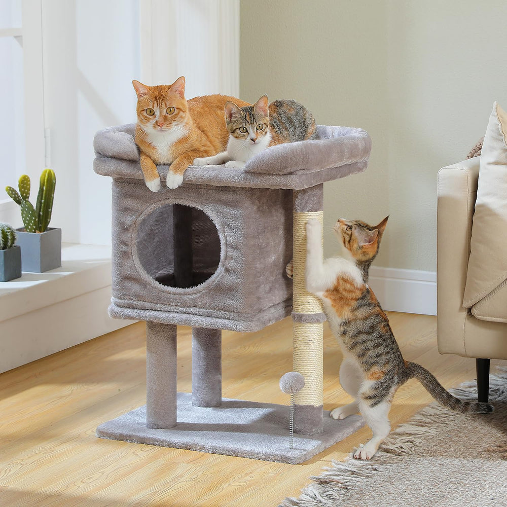 PAWZ Road cat tree in action demonstrates daily enrichment and play.