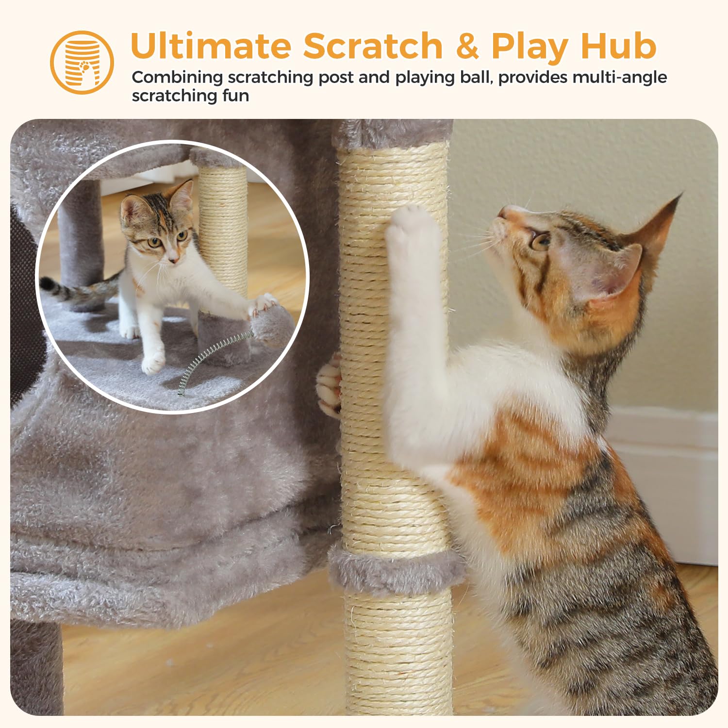 PAWZ Road space-saving design fits tight corners without crowding rooms.