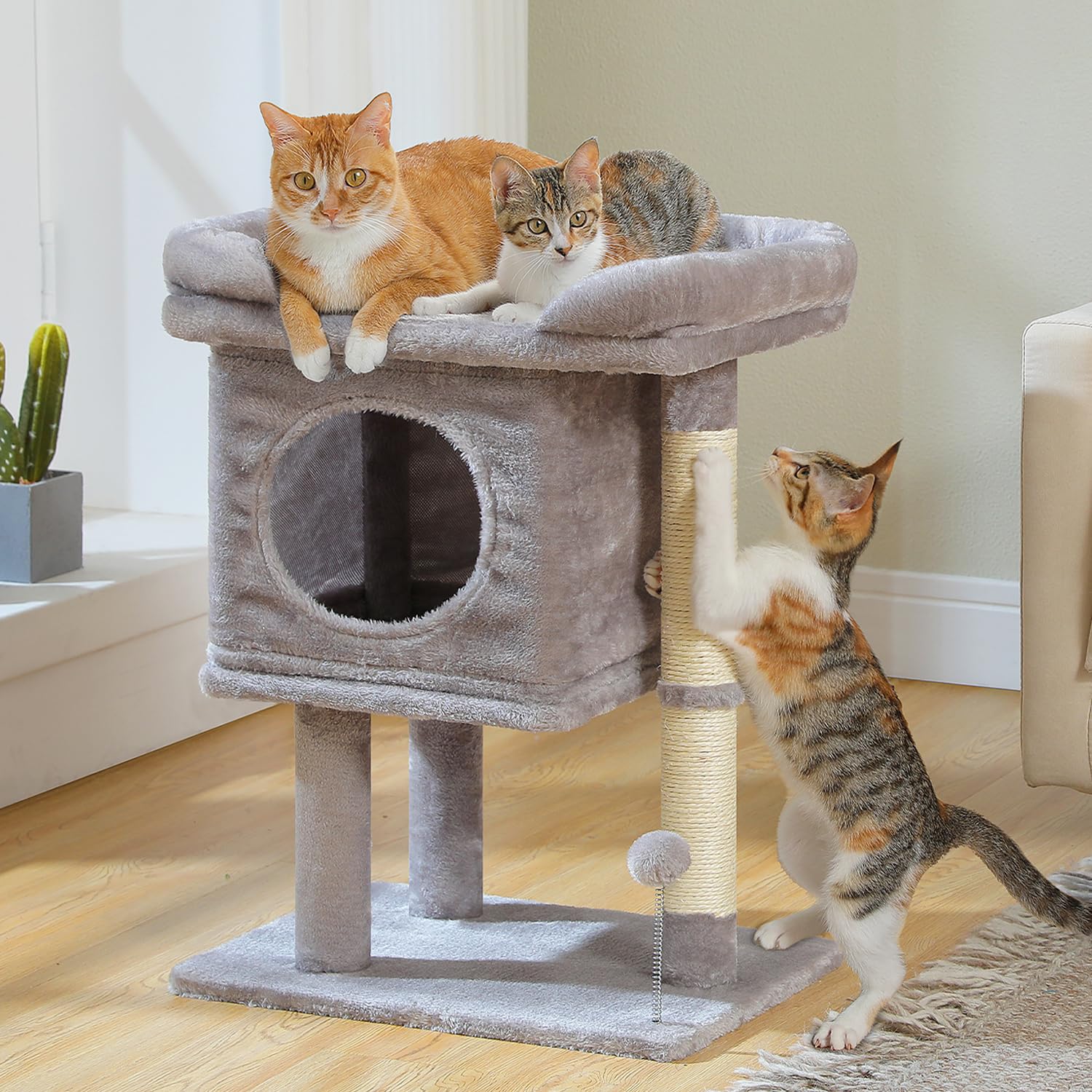 PAWZ Road cat tree top perch offers a secure, cozy resting area.