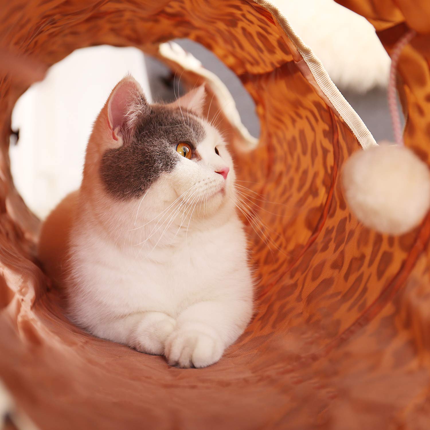 PAWZ Road XL cat tunnel folded into compact disc for easy storage