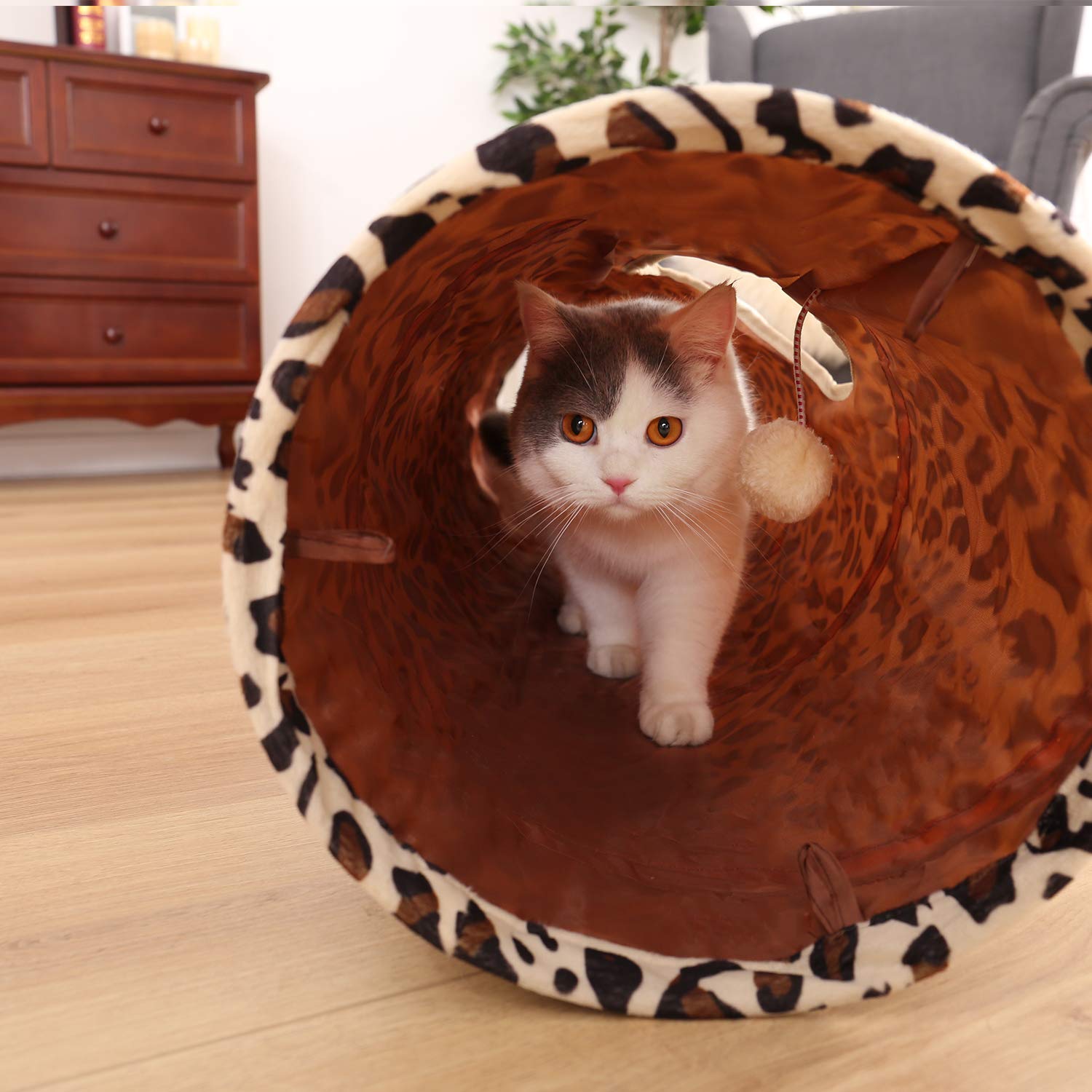PAWZ Road XL cat tunnel set up indoors or outdoors with ground stakes
