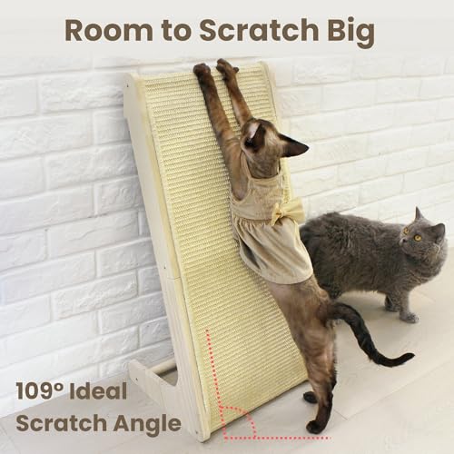 Pawzentic mortise-tenon stability scratcher—stable design reduces tipping during play sessions.