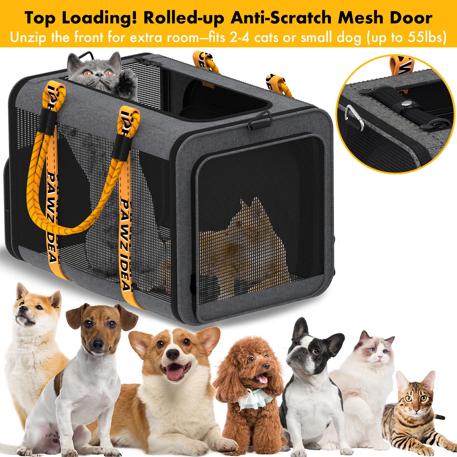 PAWZIDEA safety features ensure secure travel.