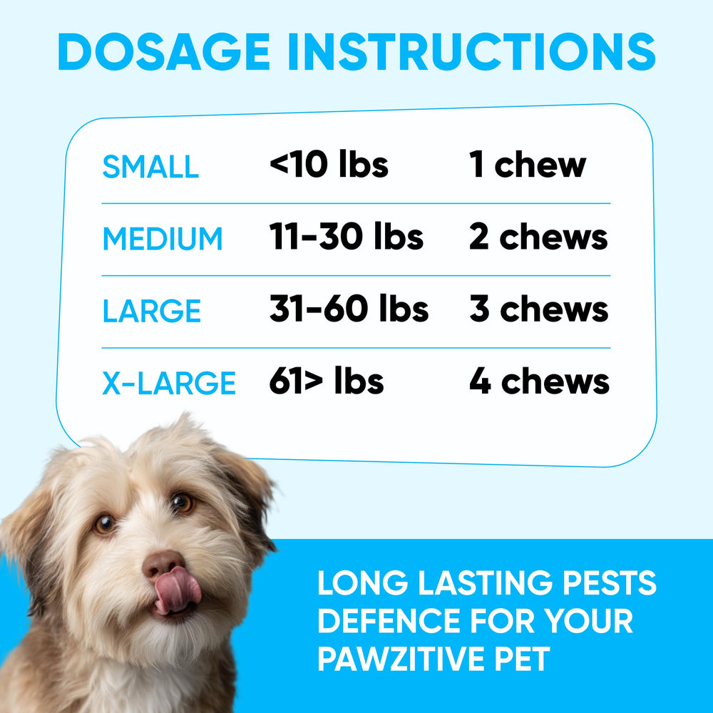 Pawzitive Pets collar-free flea prevention, ideal for homes avoiding topical applications