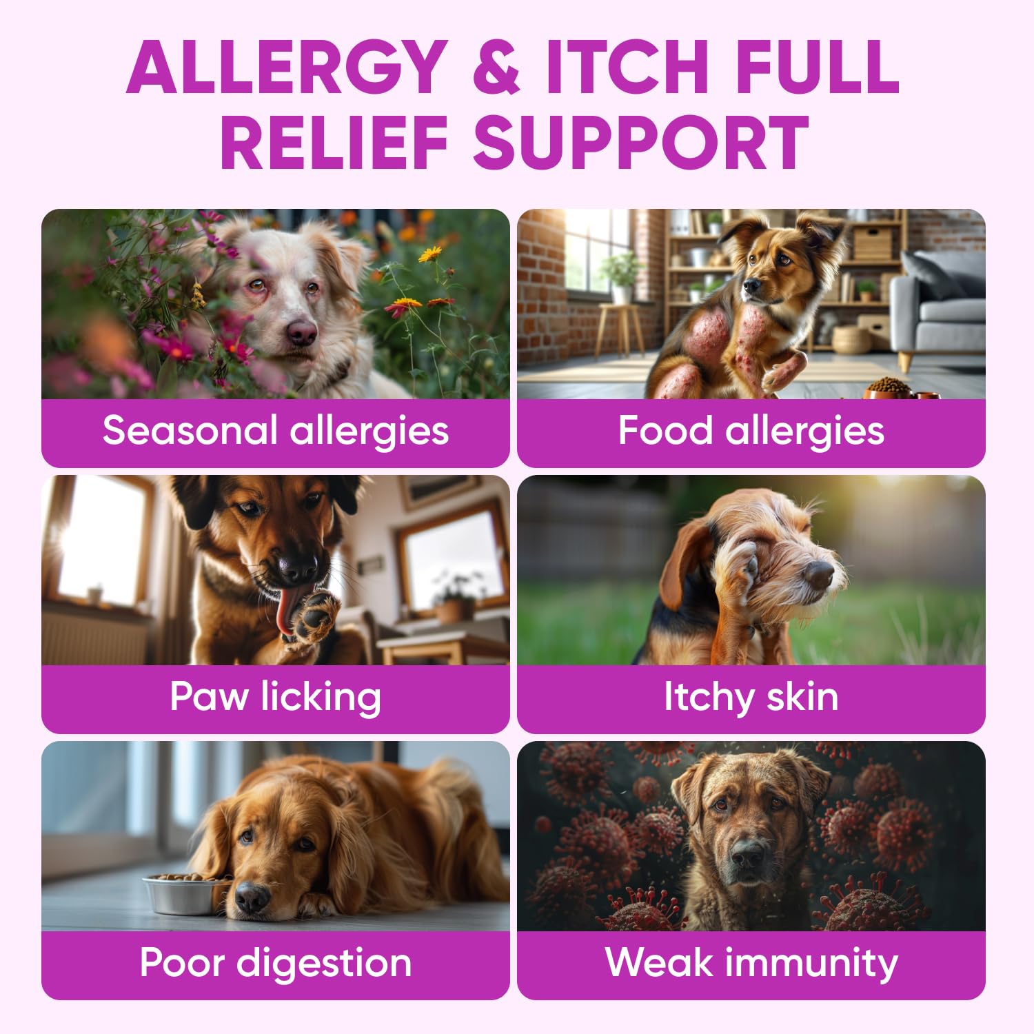 Pawzitive Pets dog allergy chews bottle label close-up emphasizes omega-3 skin and coat support.
