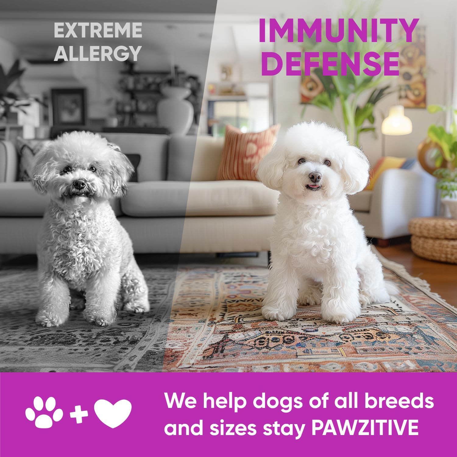 Pawzitive Pets omega-3 chews displayed with adult dog to evoke routine usage.