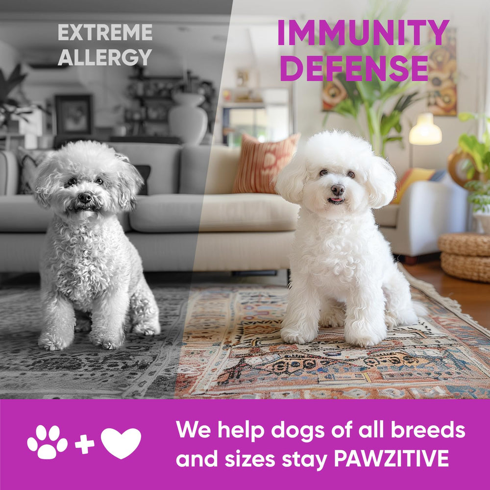 Pawzitive Pets omega-3 chews displayed with adult dog to evoke routine usage.