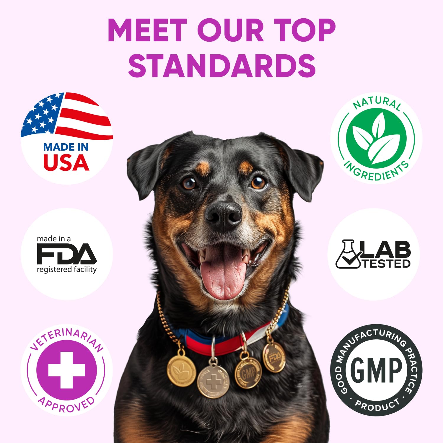 Pawzitive Pets dog allergy chews being offered to a calm, content dog after use.