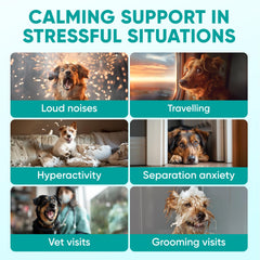 Pawzitive Pets dog calming chews texture shot