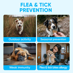 Pawzitive Pets soft chews for puppies, easy daily protection with a flavor dogs love