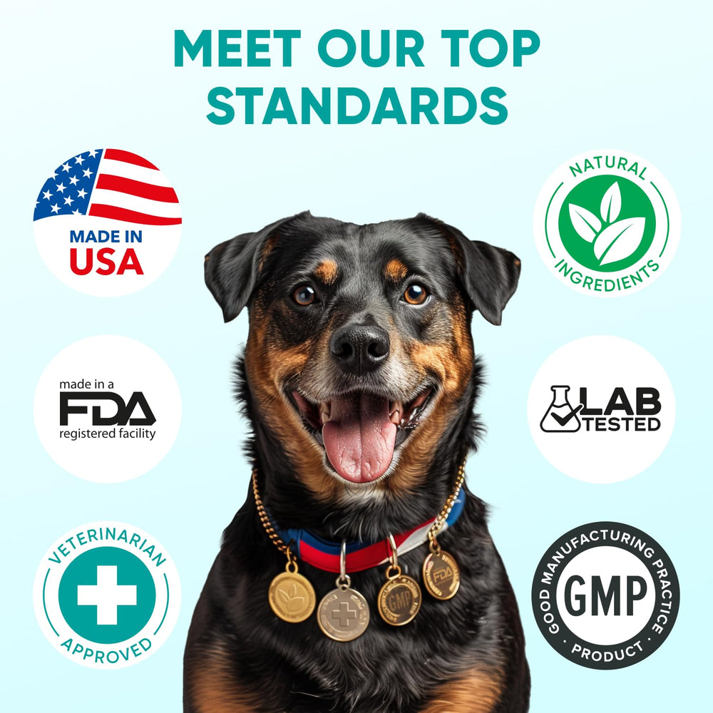 Pawzitive Pets travel-friendly chews beside car seat