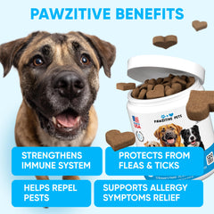 Pawzitive Pets USA-made dog chews, reliable oral flea and tick control you can trust