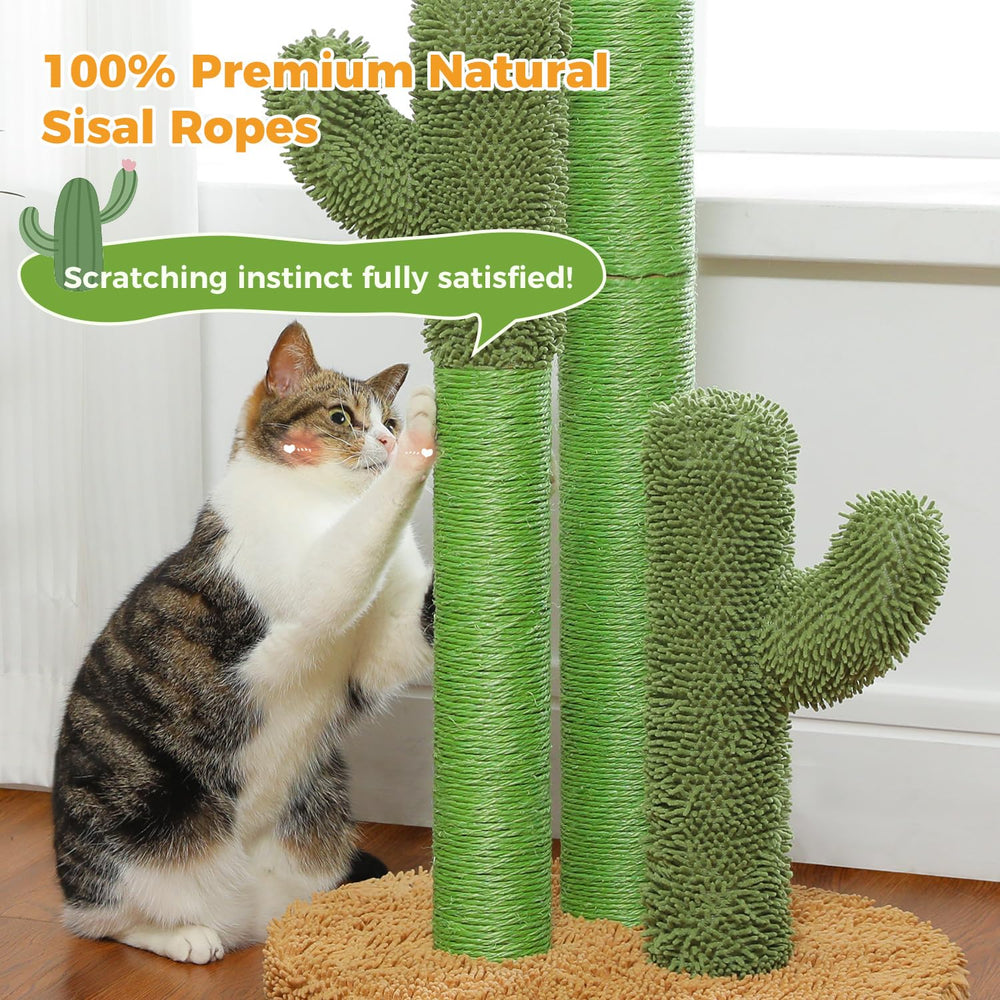 PAWZ Road assembly instructions for quick setup