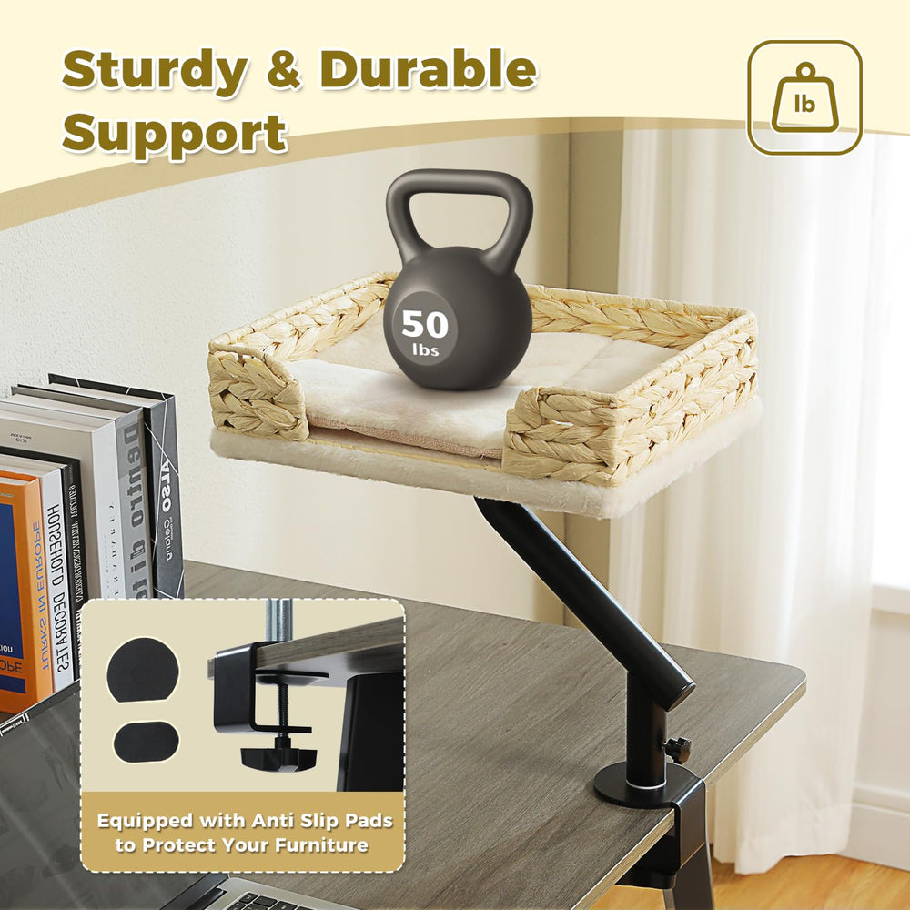 PAWZ Road cat desk bed supports up to 50 lbs for sturdier cats.