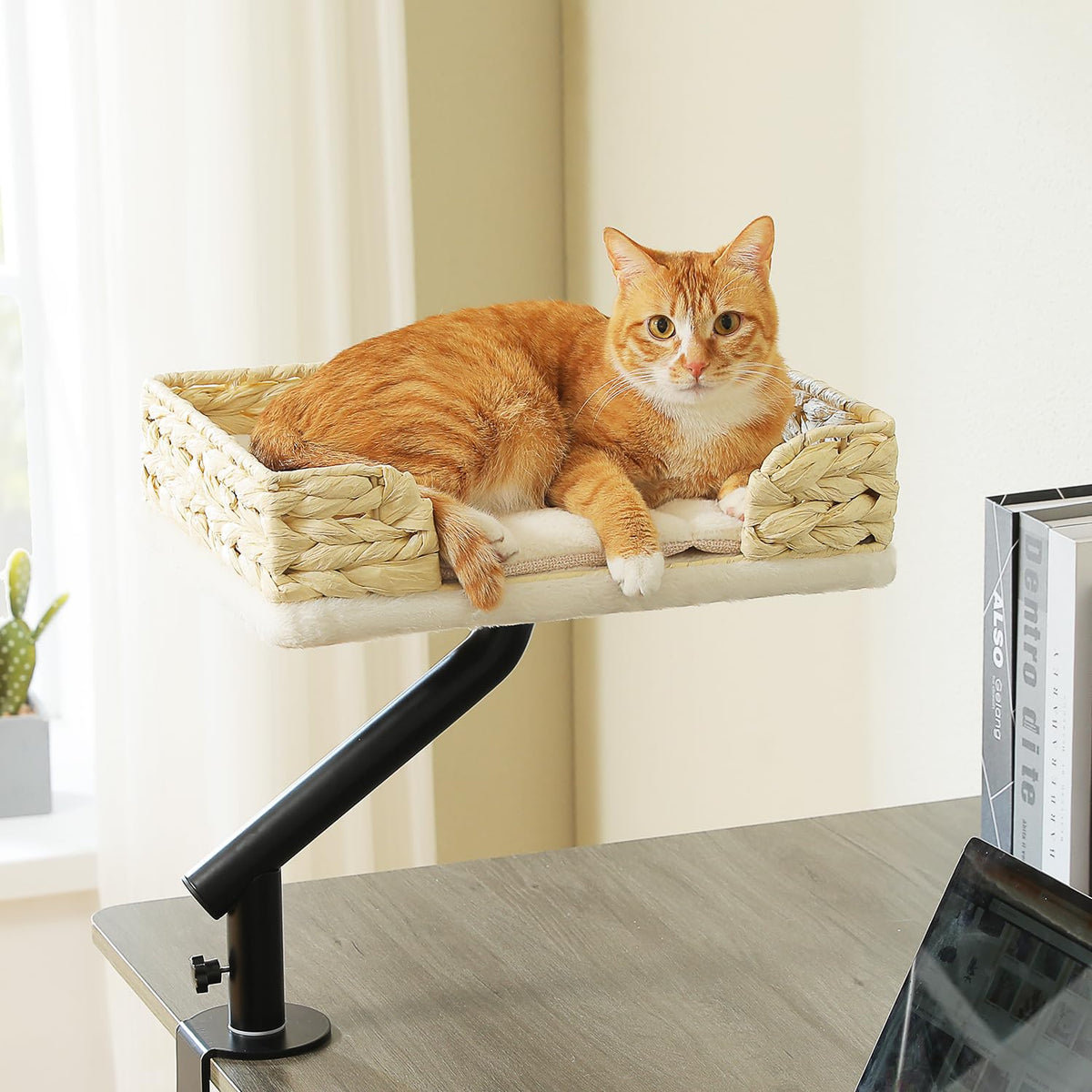 PAWZ Road cat desk bed mounted on a desk edge for close, convenient companionship.