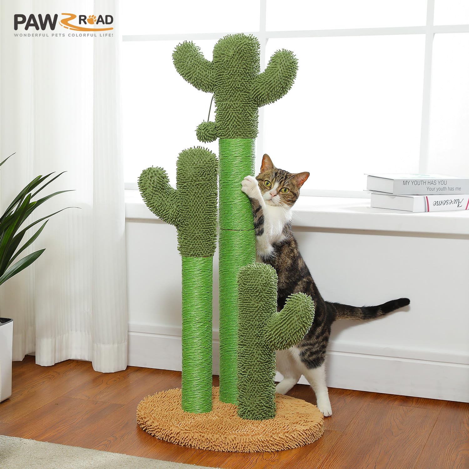 PAWZ Road cat size options from medium to large