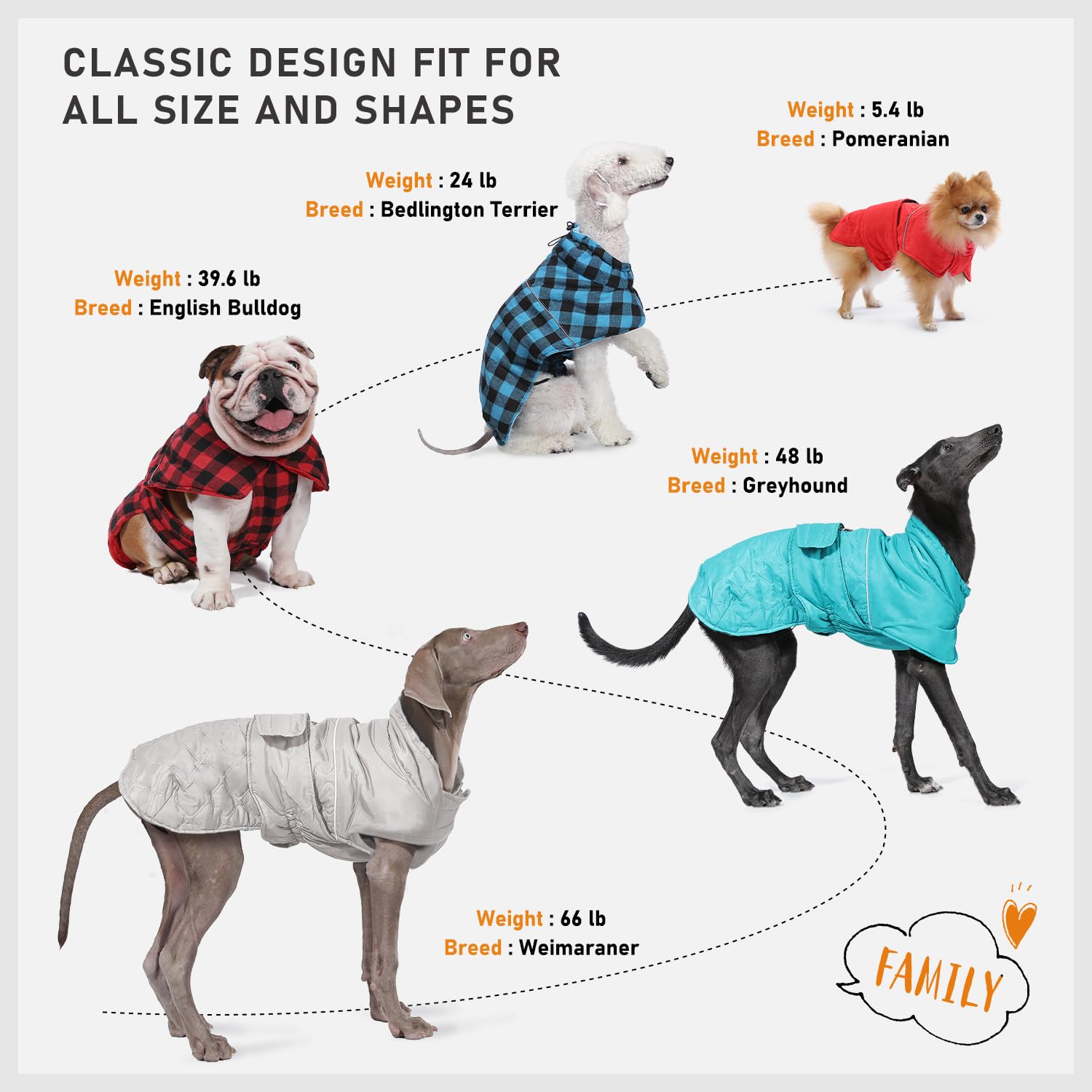 PAWZ Road leash-hole design enables easy leash attachment on outdoor adventures.