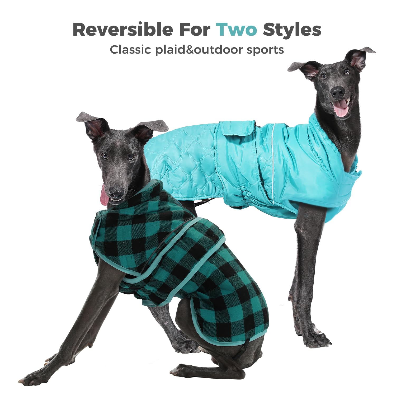 PAWZ Road reflective strips improve night visibility during walks.