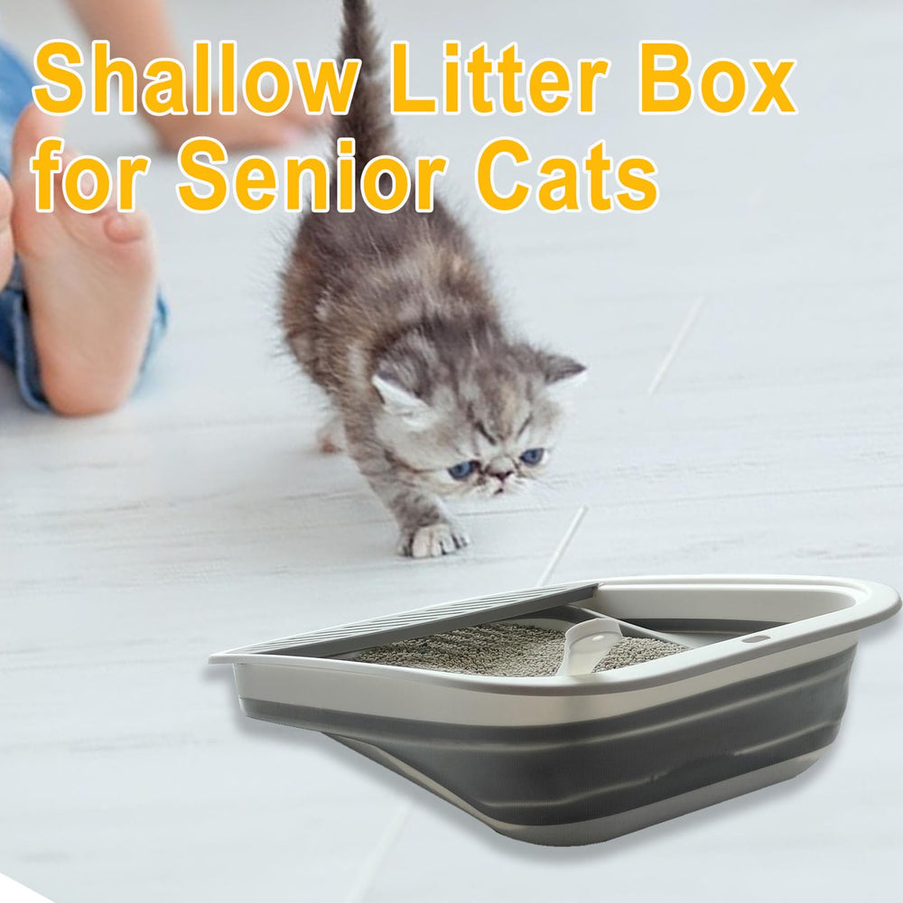 Paxlkuao versatile foldable solution doubles as travel-ready pet station.