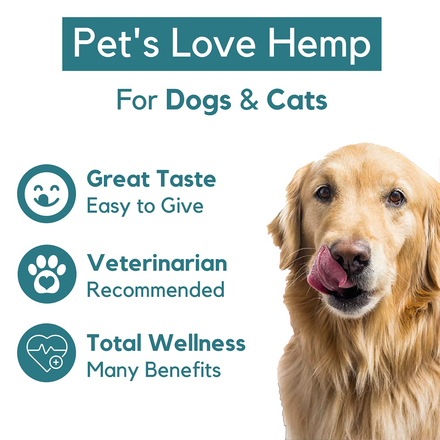 PB Pets dog receiving hemp oil from dropper for calming support