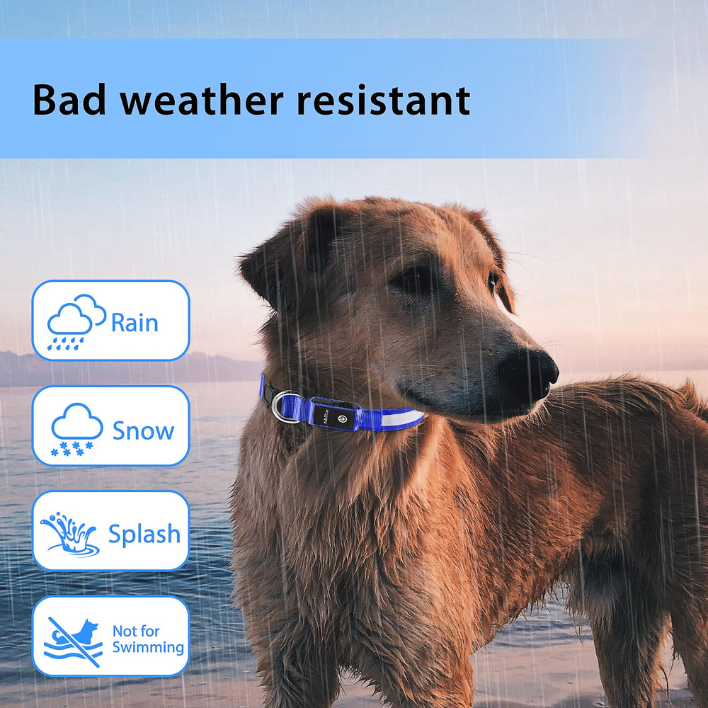 PcEoTllar adjustable durable dog collar fits dogs of all sizes.