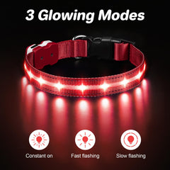 PcEoTllar LED dog collar with 3 flashing modes for enhanced visibility.