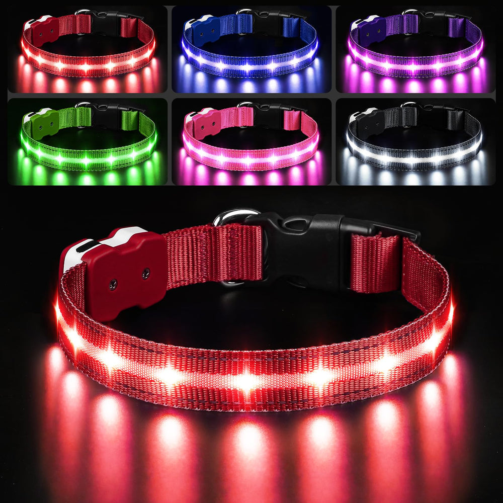 PcEoTllar light-up dog collar closeup shows bright night visibility for safer walks.