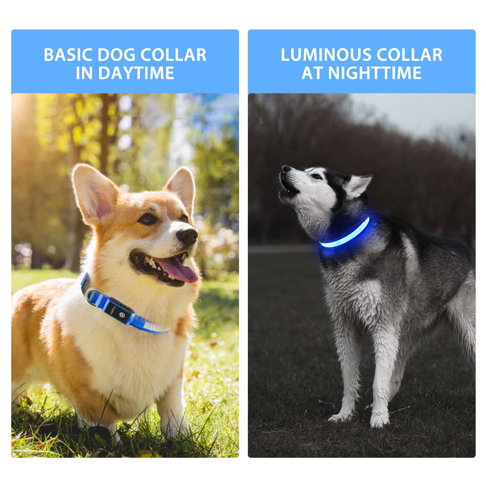 PcEoTllar night-walking visible dog collar helping you spot dogs in low light.
