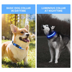 PcEoTllar night-walking visible dog collar helping you spot dogs in low light.