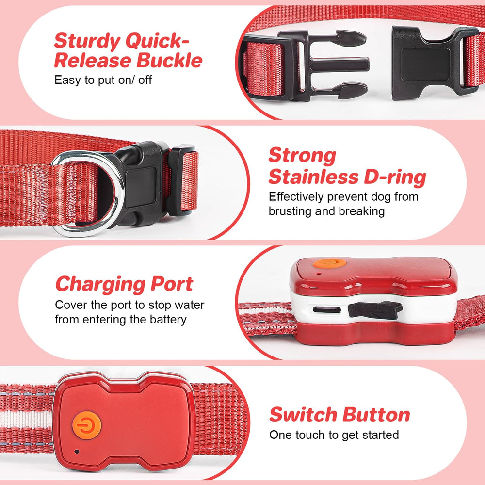 PcEoTllar rechargeable dog collar charging scene with quick power-up.