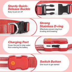 PcEoTllar rechargeable dog collar charging scene with quick power-up.
